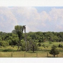 Image Omc 2021.002 (7)